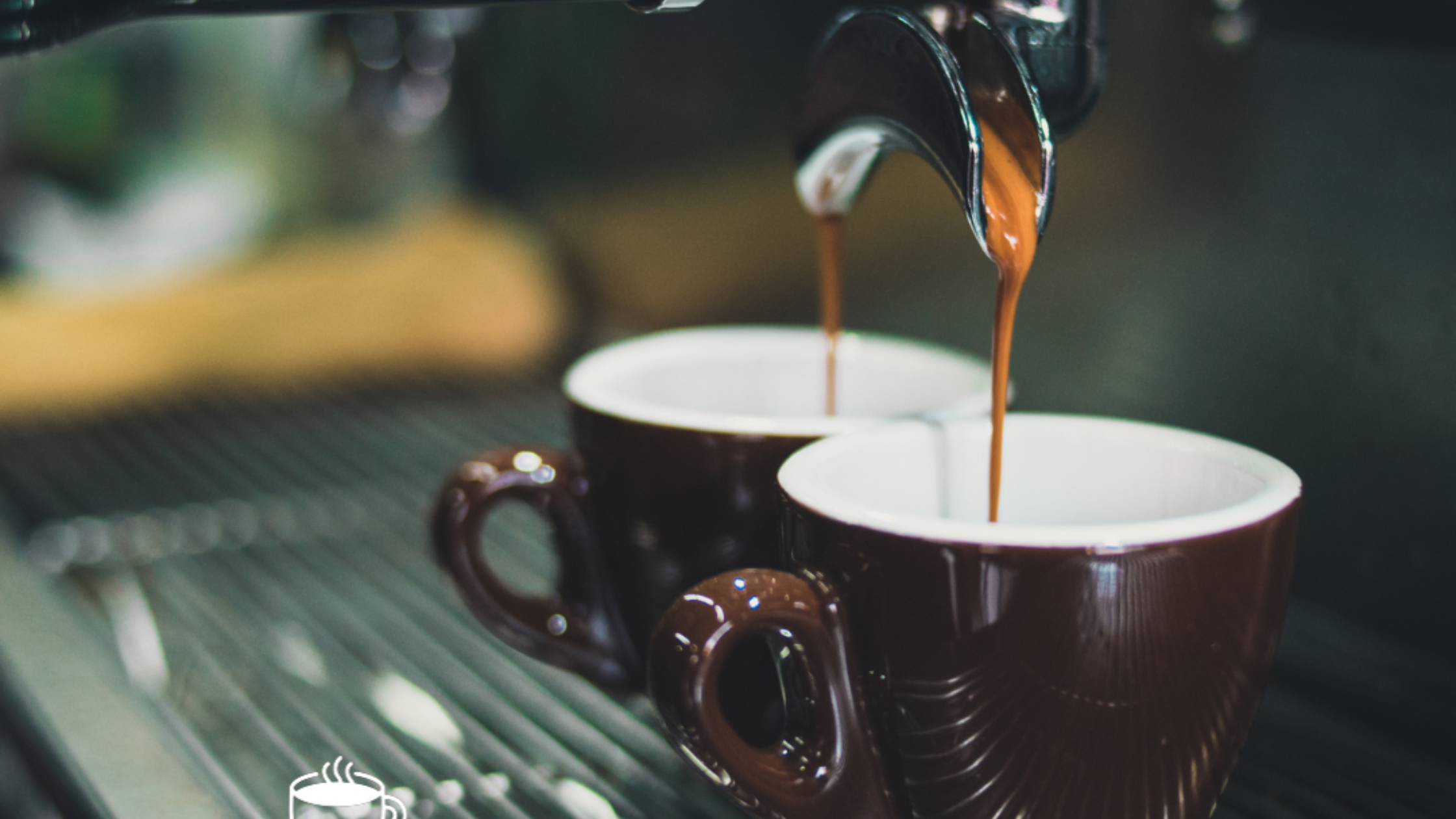 Poznaj nasze wyjątkowe kawy ziarniste do ekspresu